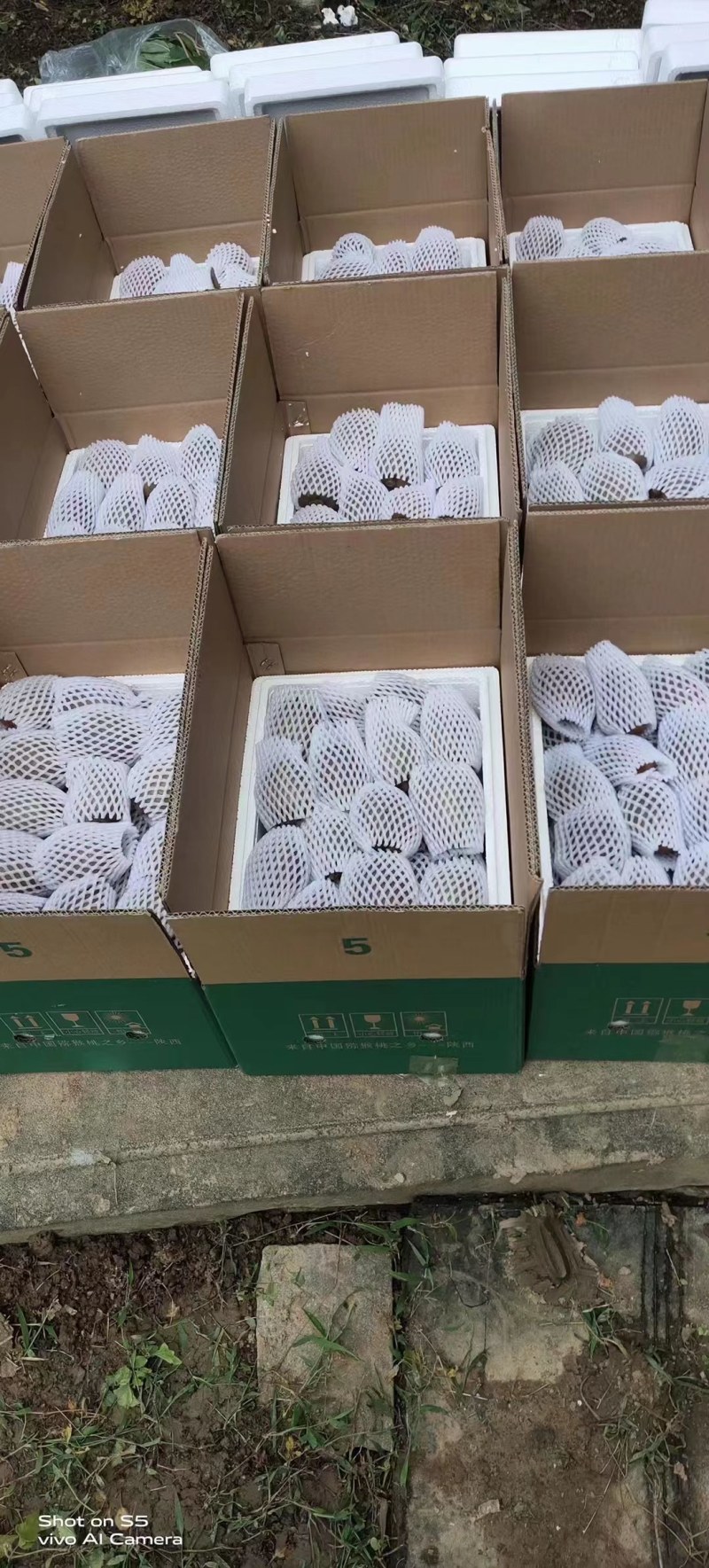 翠香猕猴桃