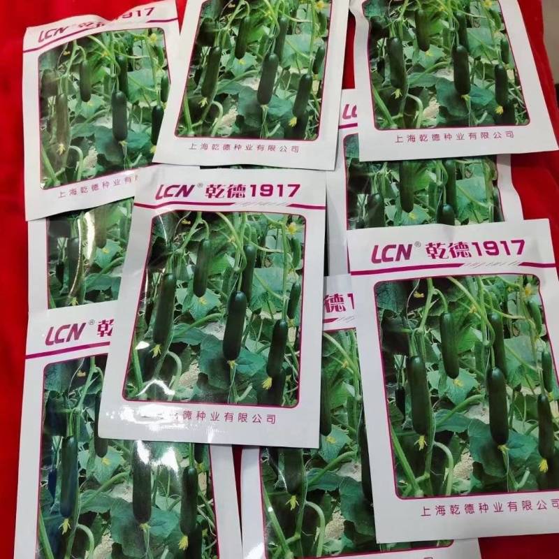 【热卖全国包邮】秋延越冬早春无刺小黄瓜乳瓜种子高产抗病.