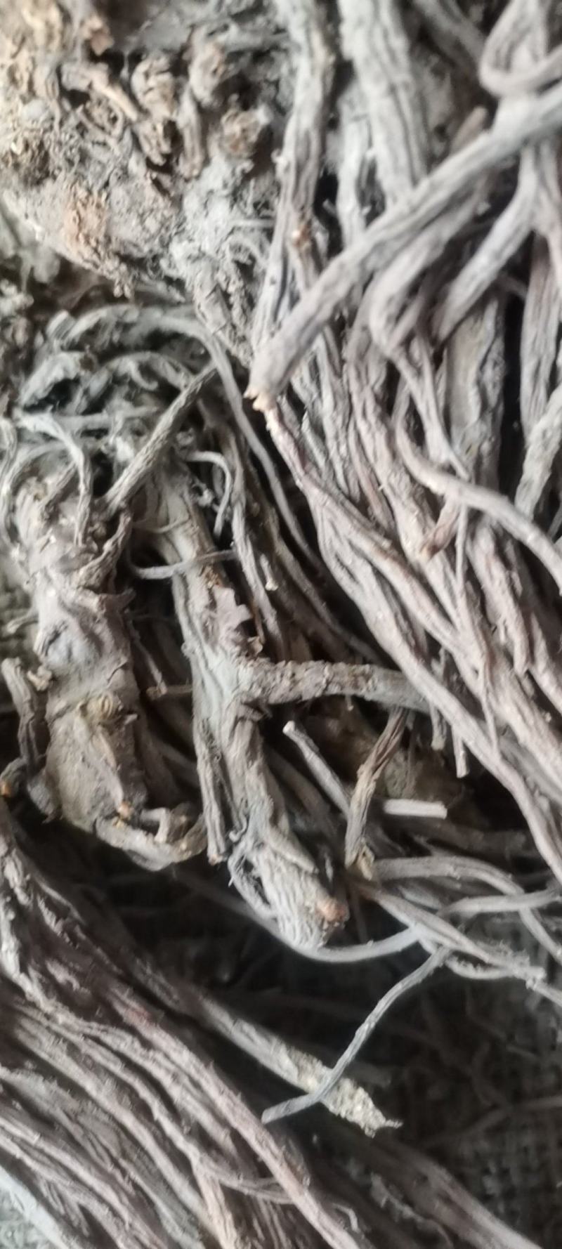 羌活，水洗，药性达标，质量保证
