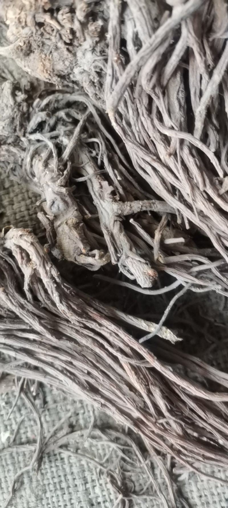羌活，水洗，药性达标，质量保证