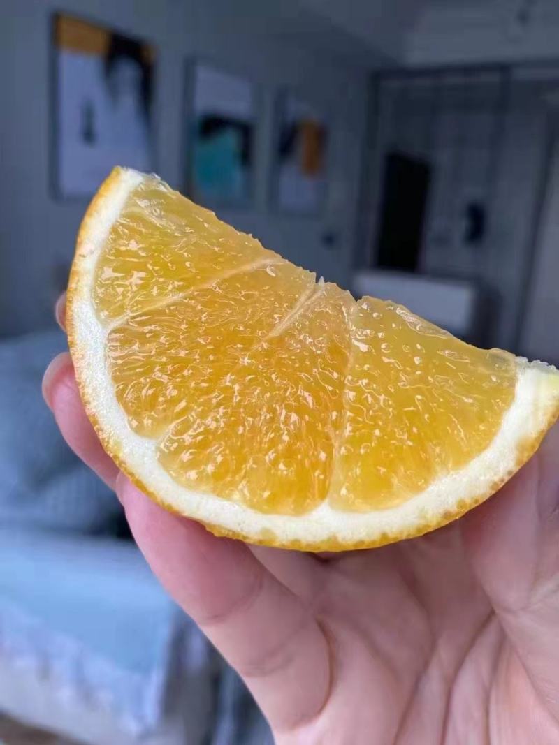 赣南脐橙纯甜赣南脐橙，现在开始火热预定。