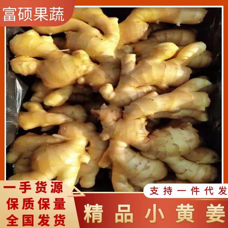 山东大黄姜产地基地直发品质优价格好对接全国市场