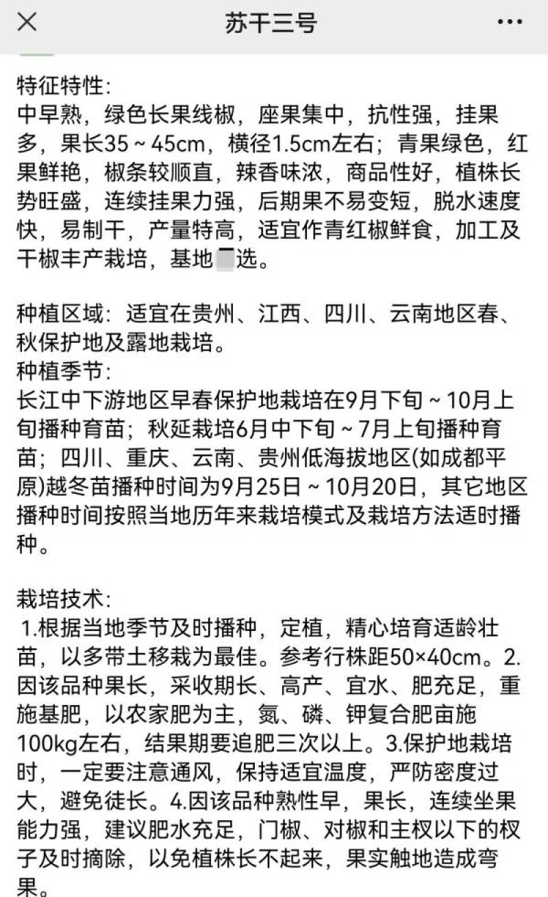 苏润苏号三号红线椒种子青红干三用特长红干鲜椒辣椒种子