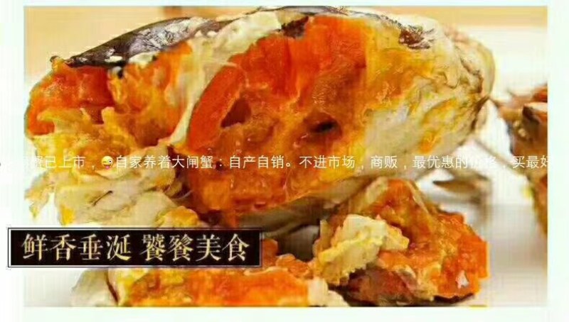 螃蟹