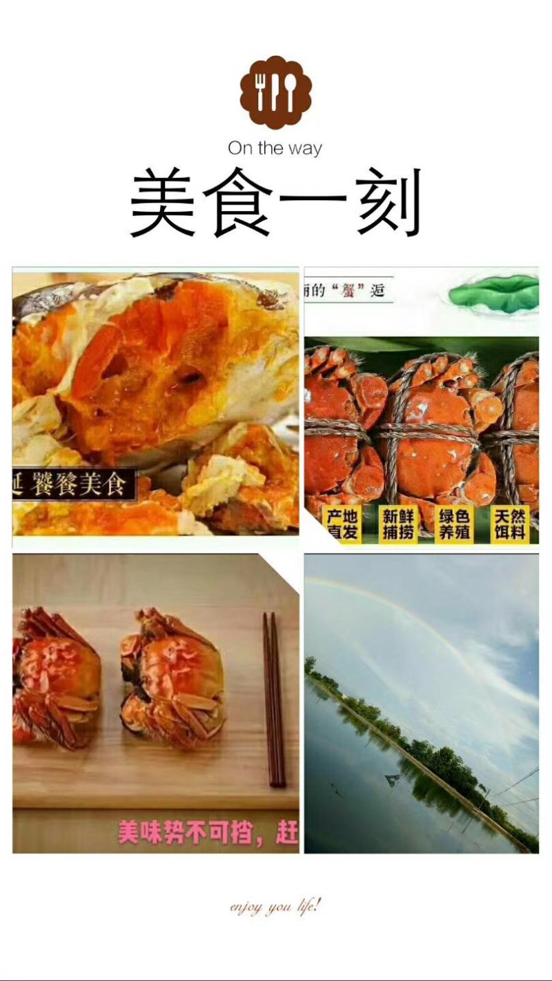 螃蟹