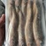 小黄花鱼新包装4斤每箱每斤10-11条价格超低