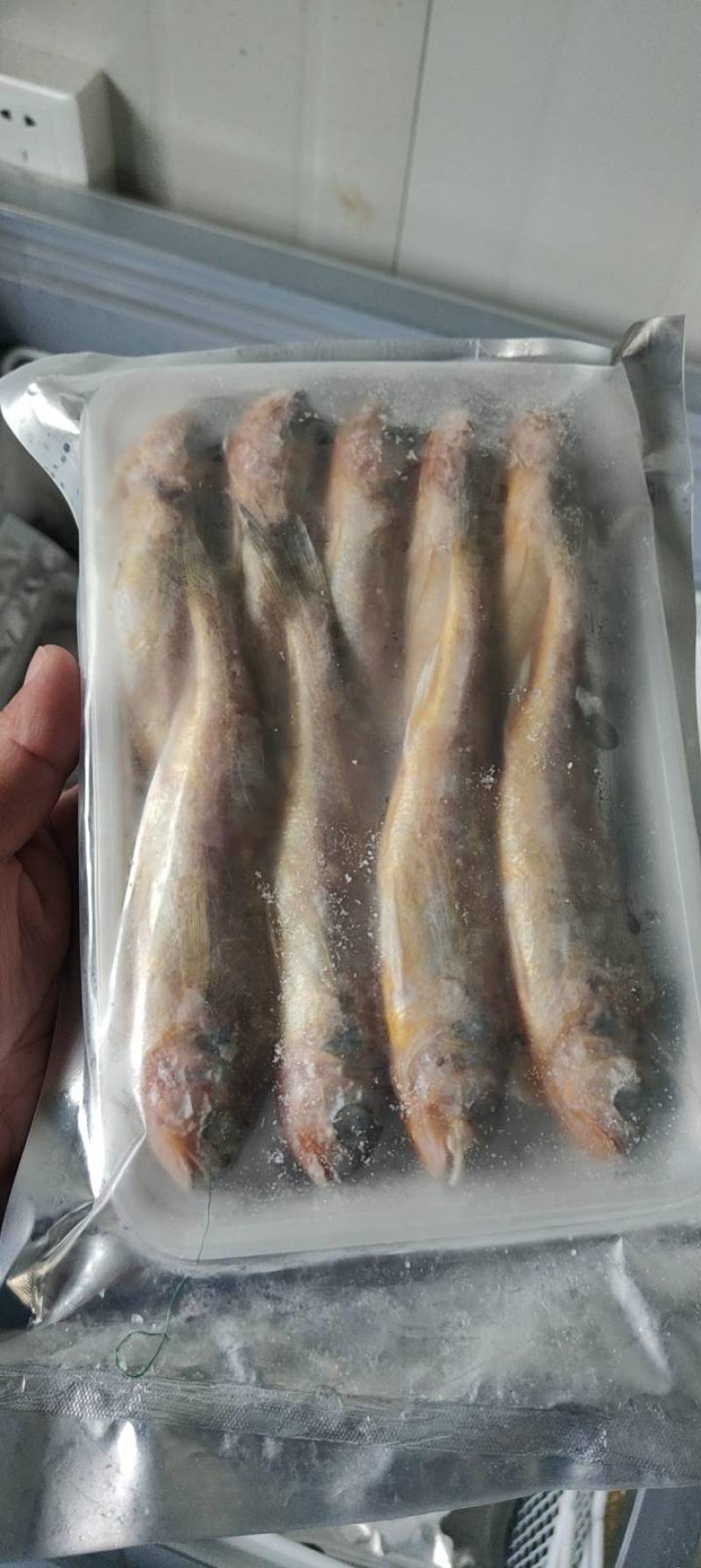 小黄花鱼新包装4斤每箱每斤10-11条价格超低