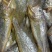 小黄花鱼新包装4斤每箱每斤10-11条价格超低