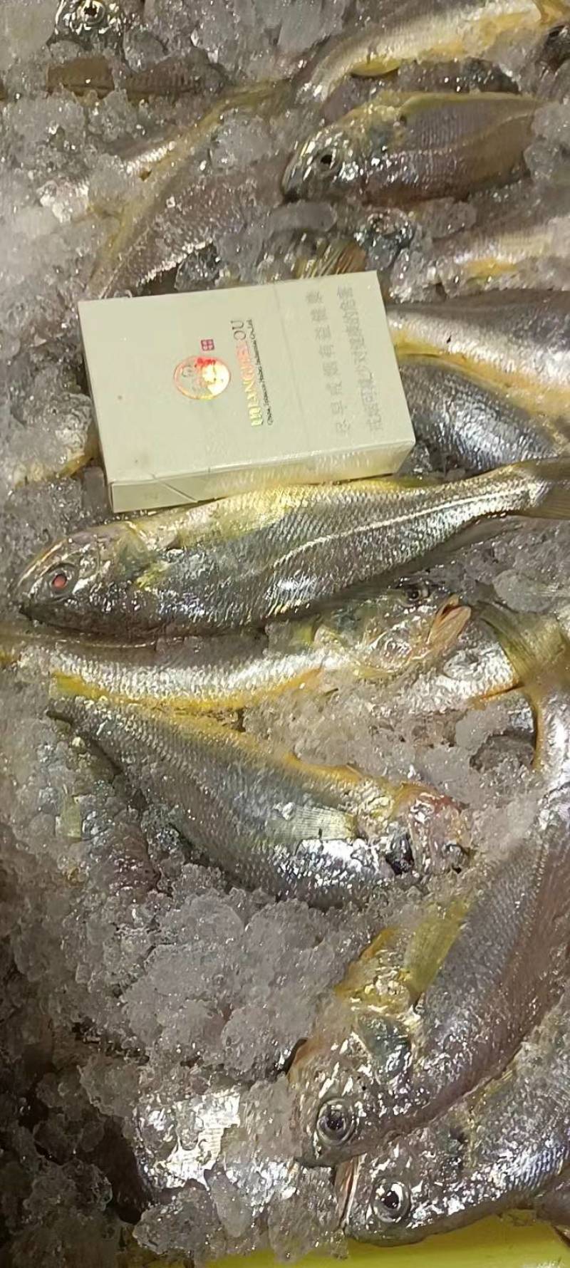 小黄花鱼新包装4斤每箱每斤10-11条价格超低