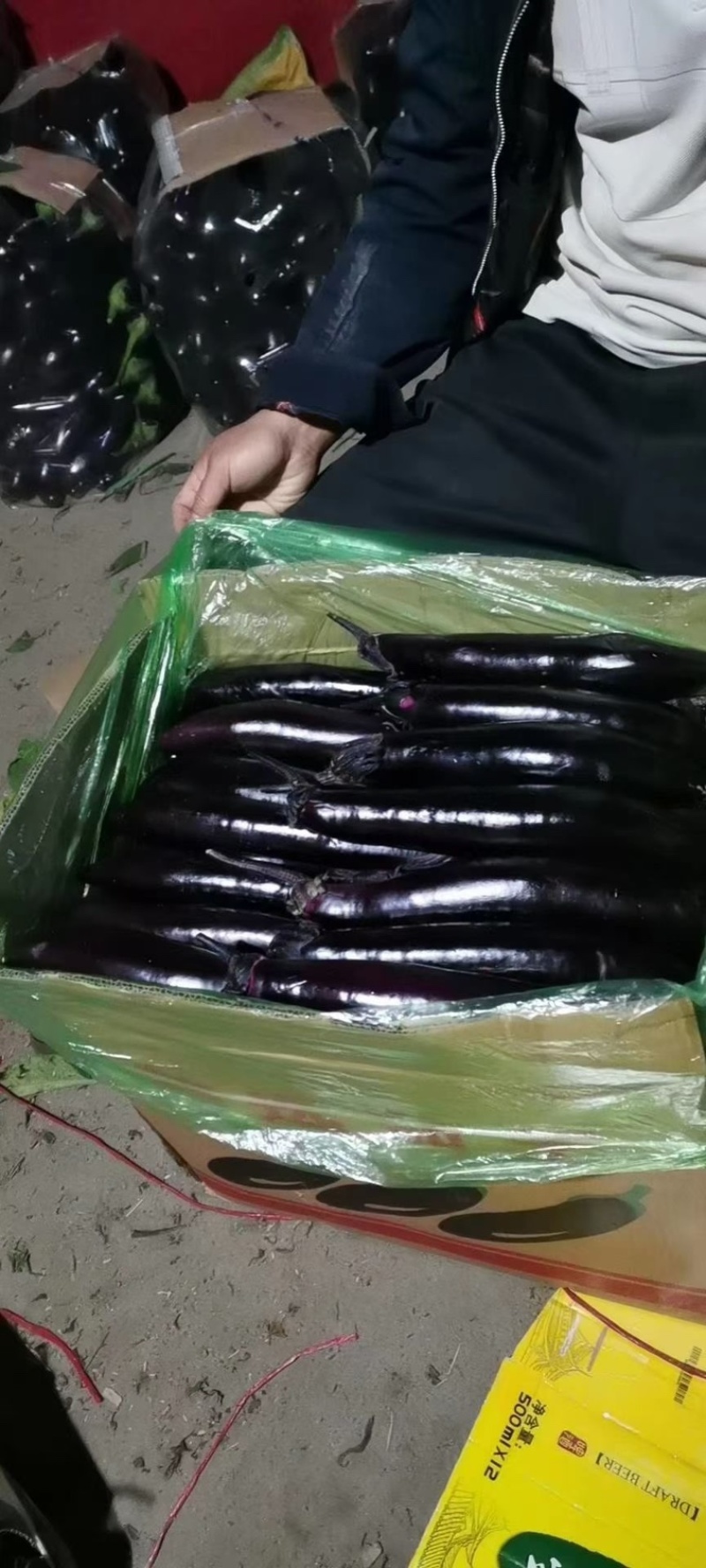 紫力人，紫茄子承接全国订单，货源充足，产地直发