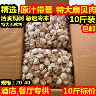 新鲜超大扇贝肉新鲜冷冻带膏大扇贝肉海鲜自助火锅食材10斤