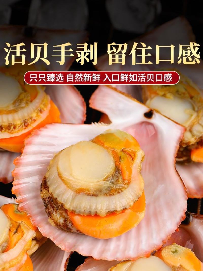 新鲜超大扇贝肉新鲜冷冻带膏大扇贝肉海鲜自助火锅食材10斤