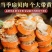 新鲜超大扇贝肉新鲜冷冻带膏大扇贝肉海鲜自助火锅食材10斤