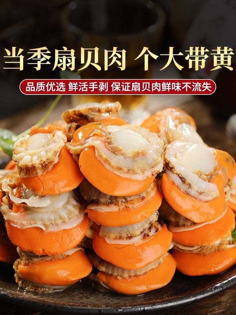 新鲜超大扇贝肉新鲜冷冻带膏大扇贝肉海鲜自助火锅食材10斤