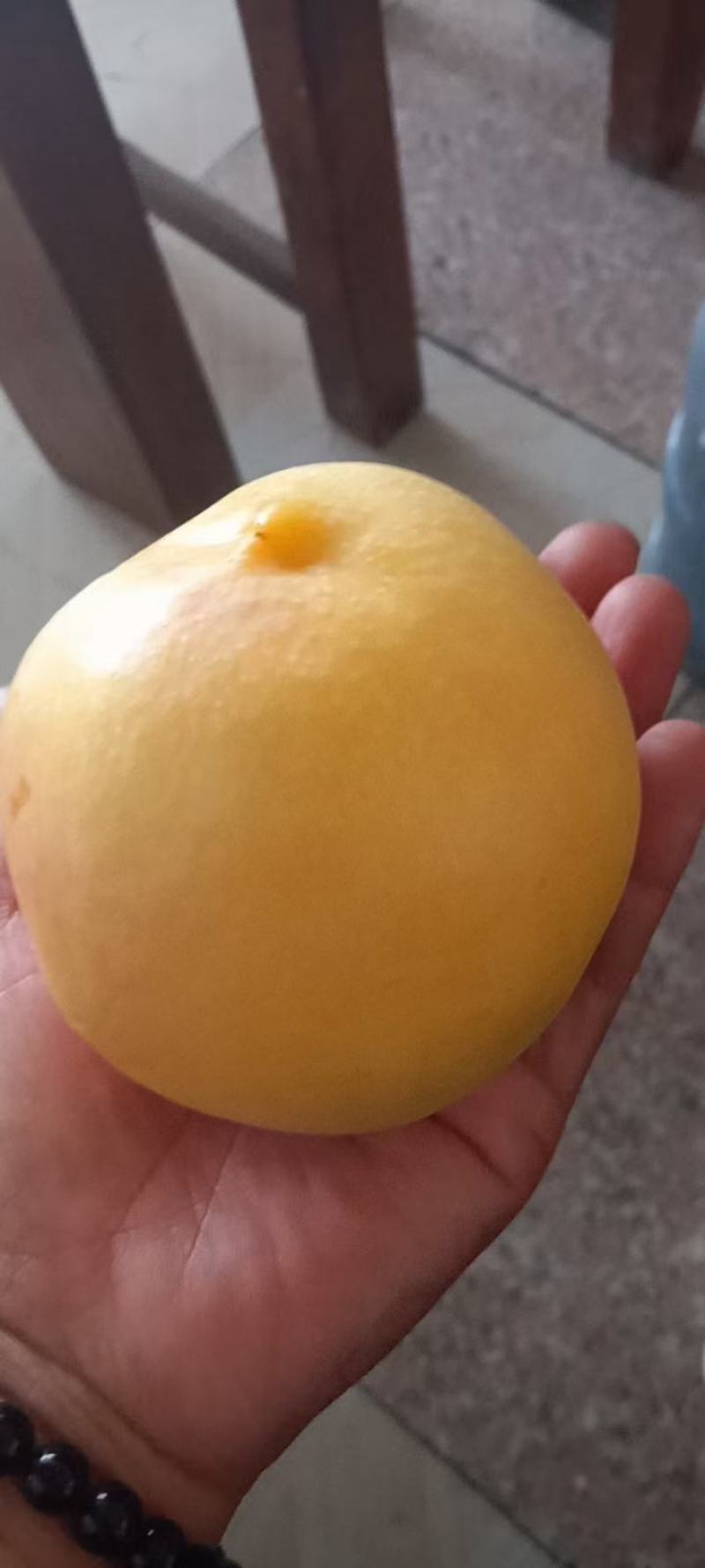 陕西省黄金蜜西尾黄桃