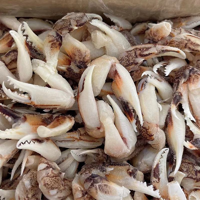 沙蟹钳冷冻鲜活梭子蟹新鲜蟹腿醉蟹钳原料连云港水产速冻蟹钳