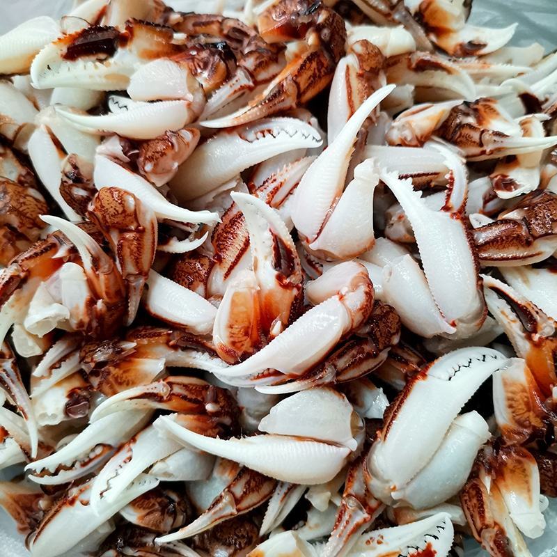 沙蟹钳冷冻鲜活梭子蟹新鲜蟹腿醉蟹钳原料连云港水产速冻蟹钳