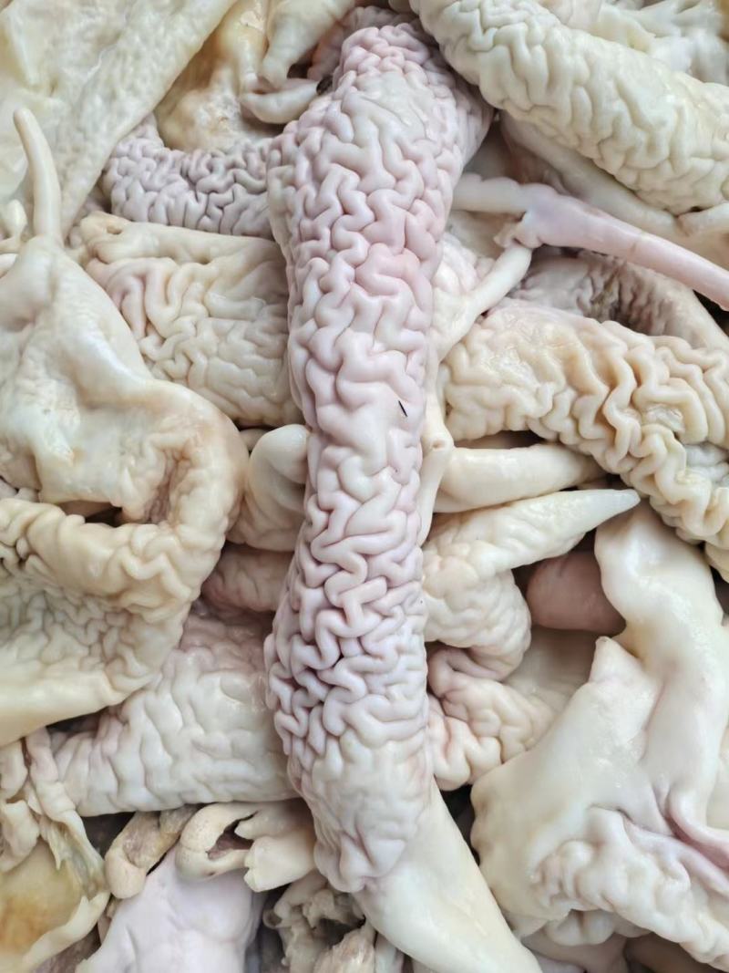 羊皮
