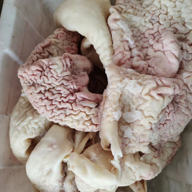 羊皮