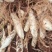 2022年广东网红新鲜竹薯冬粉薯东笋薯新挖打火锅煲汤
