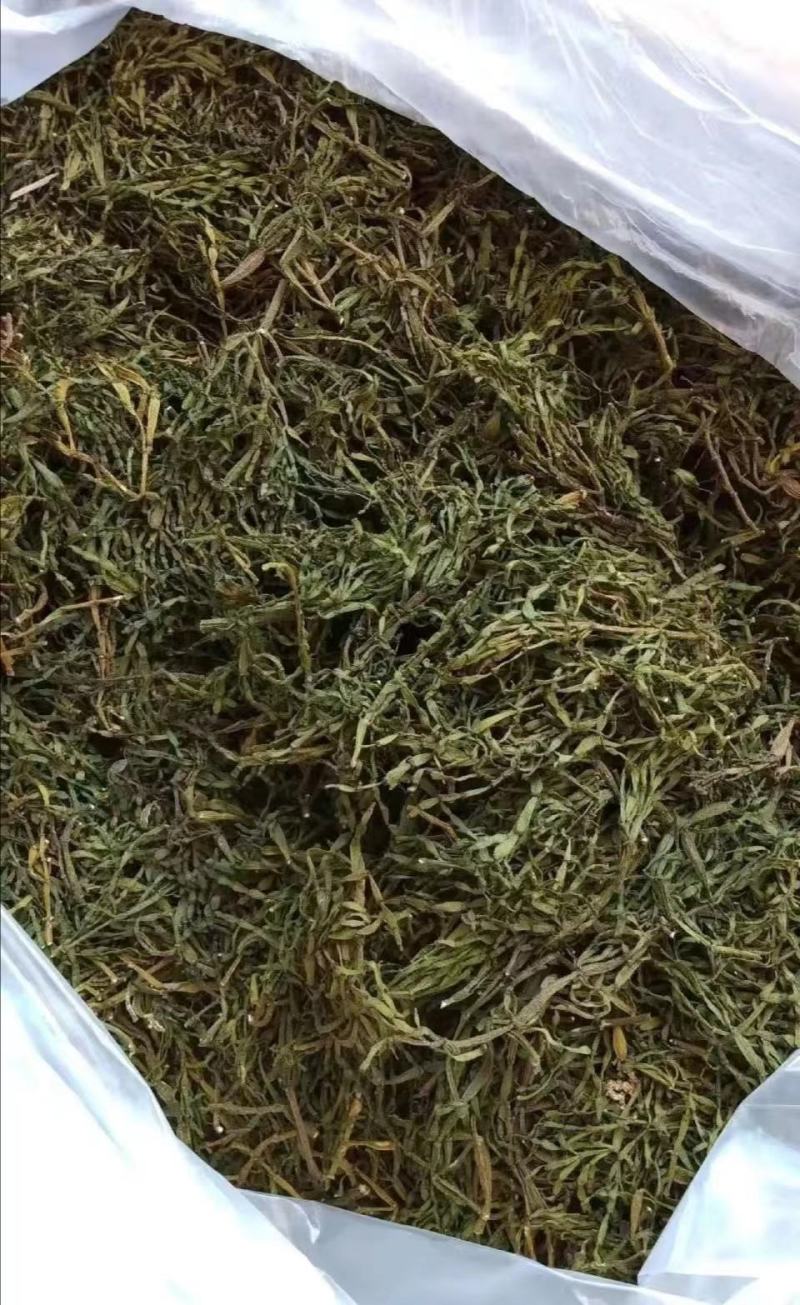 云南景迈山野生螃蟹脚茶饮保健饮料