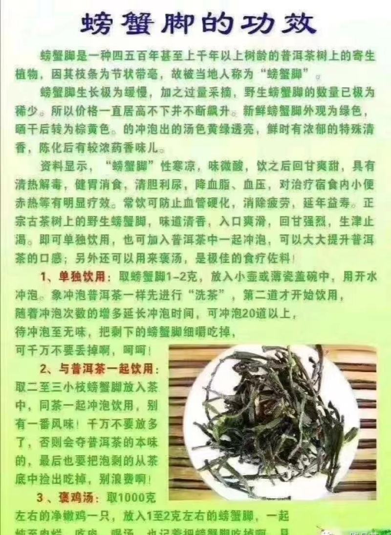 云南景迈山野生螃蟹脚茶饮保健饮料