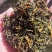云南景迈山野生螃蟹脚茶饮保健饮料