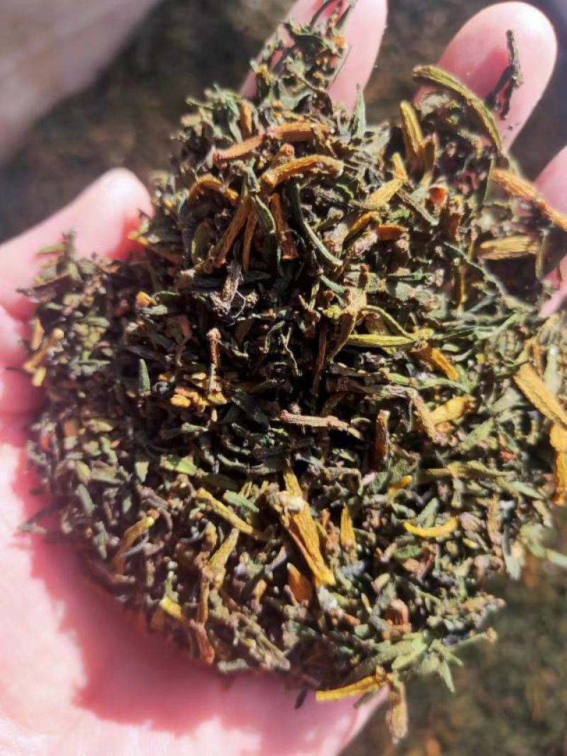 云南景迈山野生螃蟹脚茶饮保健饮料
