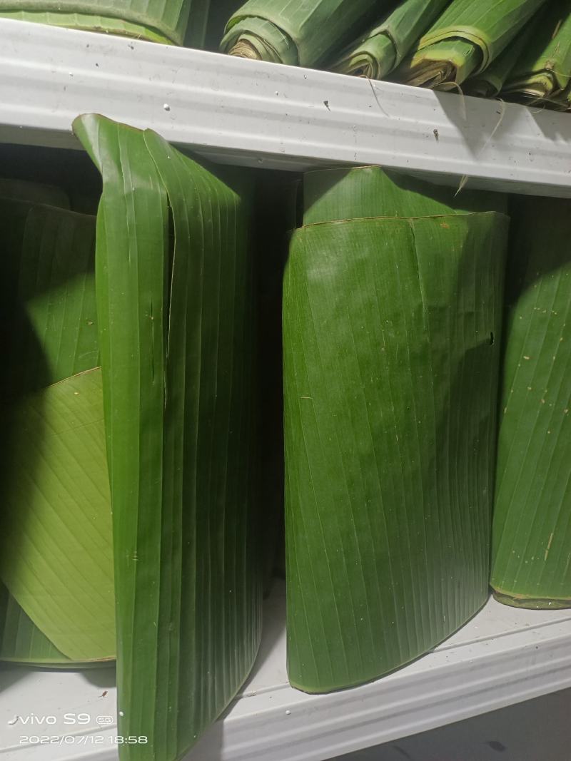 新鲜芭蕉叶香蕉叶傣族包烧摆盘壮族蕉叶糯米糍粑