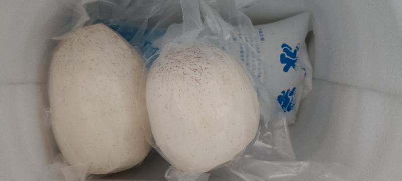 批发代发团购粉糯荔浦芋头块，芋头条，削皮芋头，社群，，