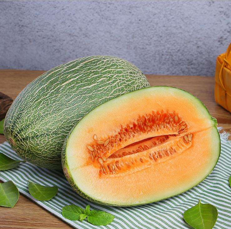 哈密蜜瓜特写
