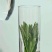 【太平猴魁】兰花香甘甜爽口今年新茶茶农一手批发