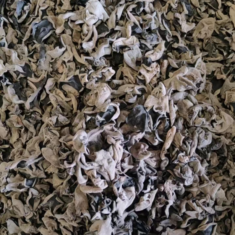 东北精品秋木耳1.5秋耳肉厚无根产地直发质量保证