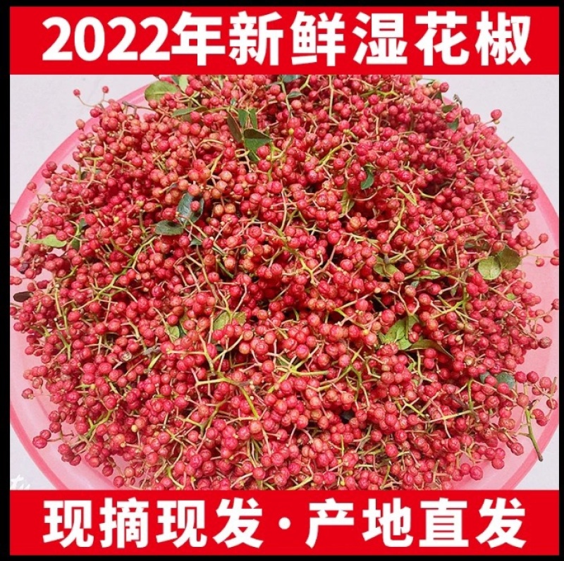 红花椒花椒新货干货大量发货中