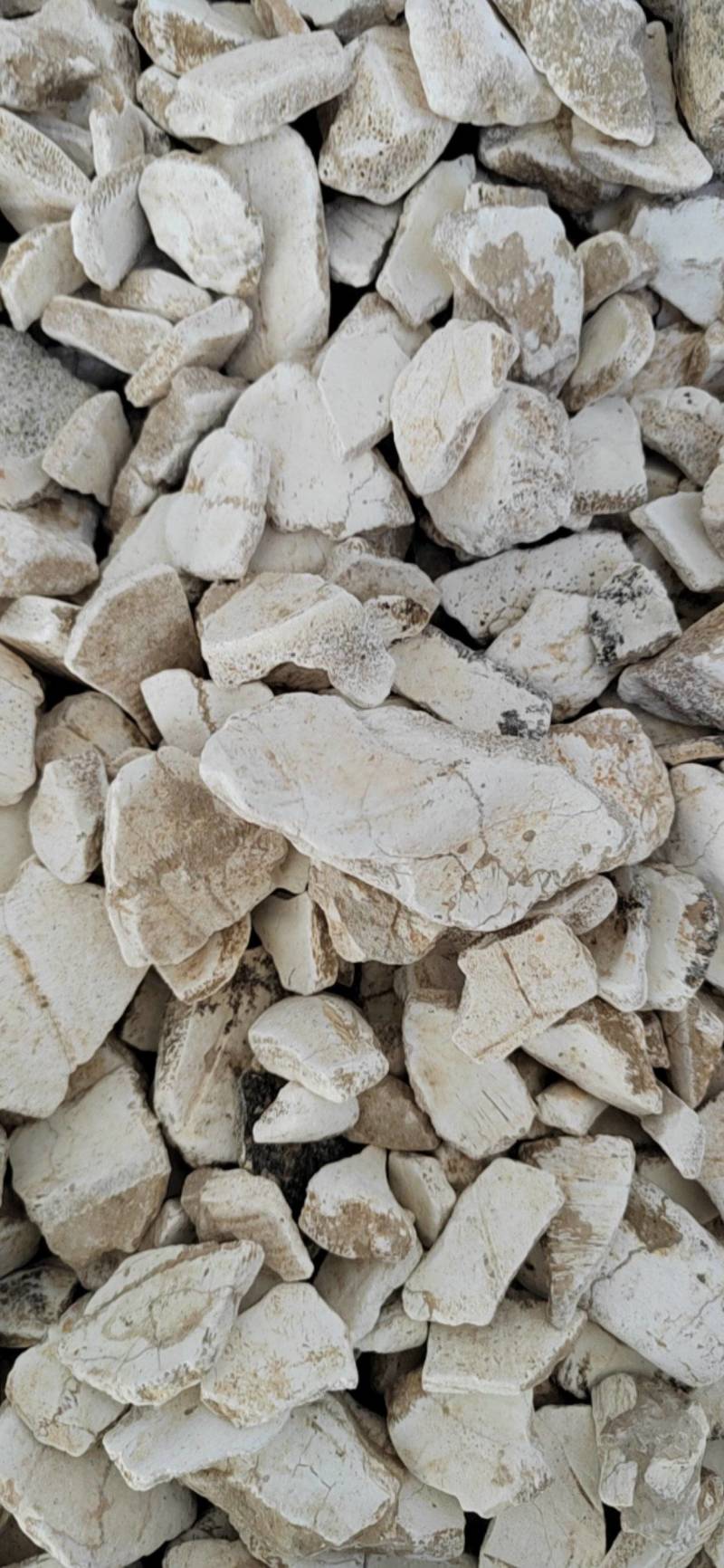 矿物龙骨中药材，诚信经营，量大从优，欢迎选购