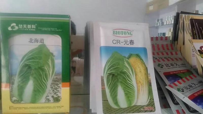 越冬王越冬大白菜种子抗病长势强充心快结球紧耐寒性好