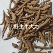 野生牛大力