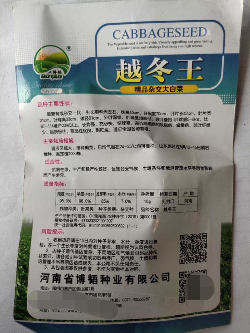 越冬王越冬大白菜种子抗病长势强充心快结球紧耐寒性好