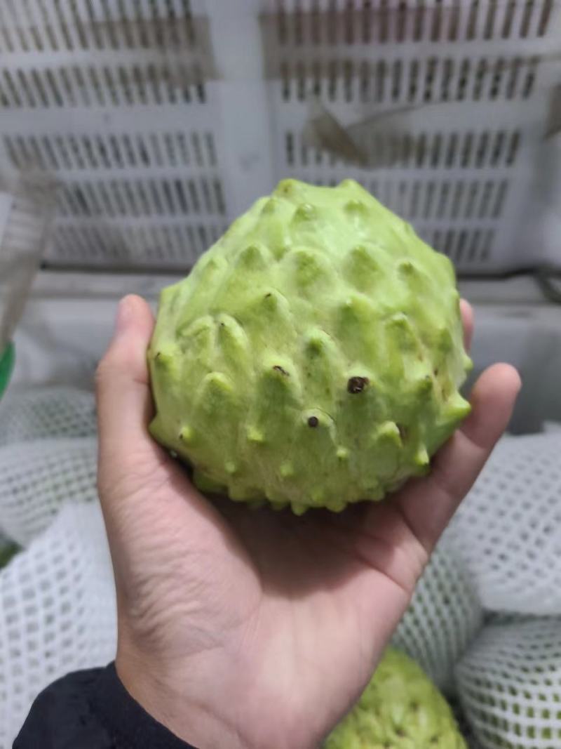 云南牛奶释迦果凤梨释迦果热带水果超甜释迦果