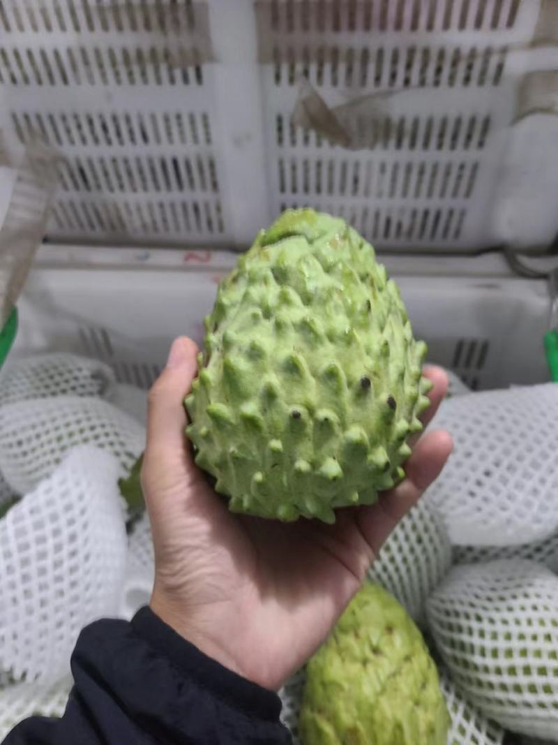 云南牛奶释迦果凤梨释迦果热带水果超甜释迦果
