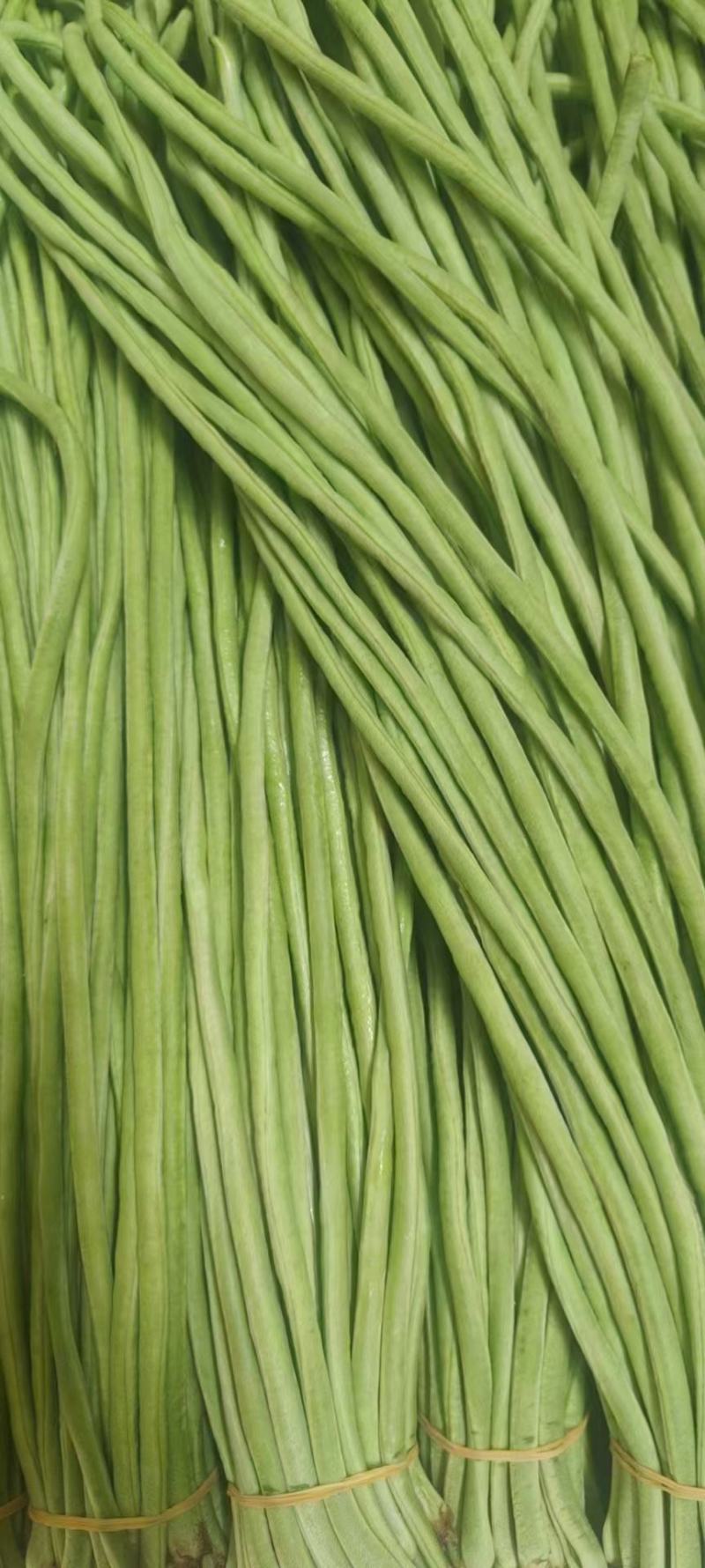 精品龙豆 黄瓜 茄子