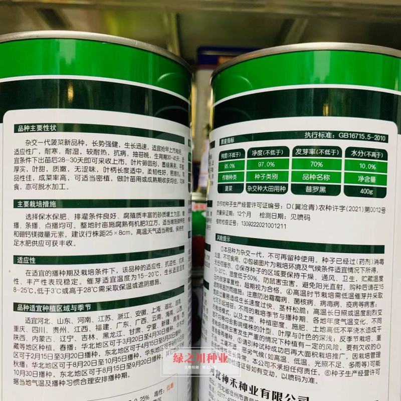 一代杂交菠菜种子普罗黑抽苔晚叶片卵圆形墨绿黑亮耐寒菠菜种