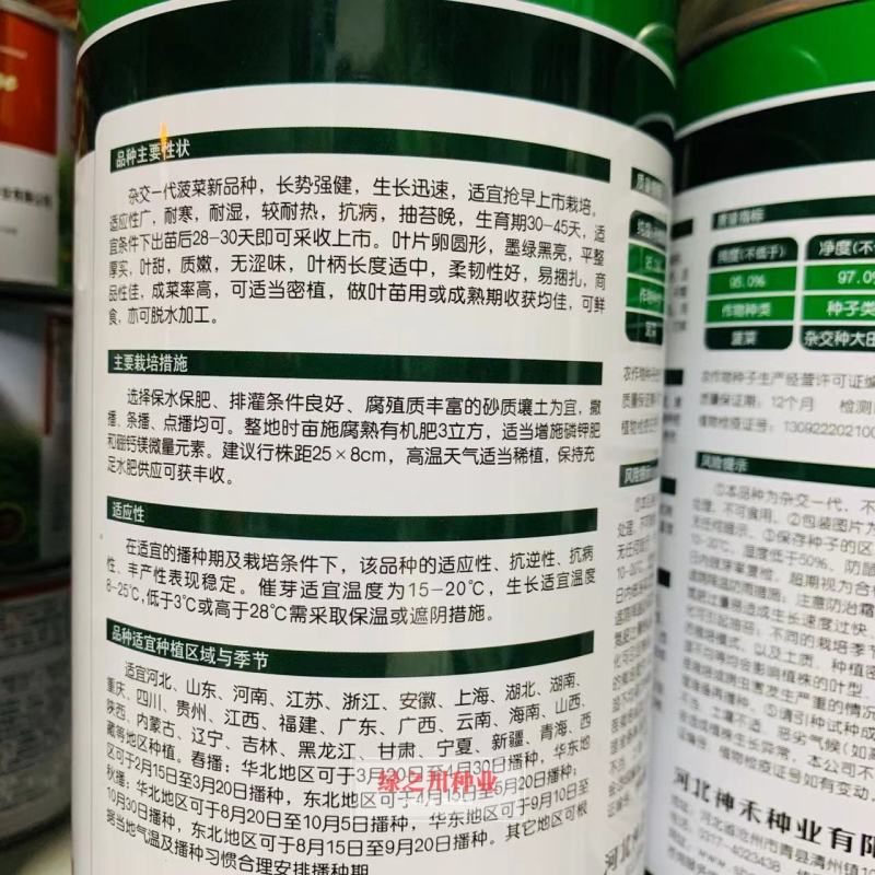 一代杂交菠菜种子普罗黑抽苔晚叶片卵圆形墨绿黑亮耐寒菠菜种