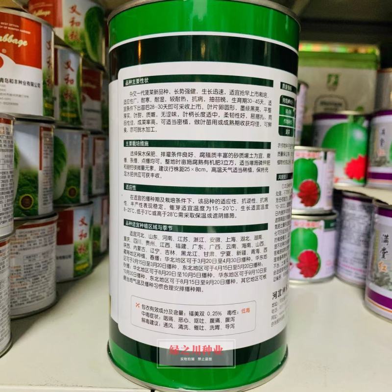 一代杂交菠菜种子普罗黑抽苔晚叶片卵圆形墨绿黑亮耐寒菠菜种
