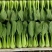 瑞丽斯耐热青梗菜种子小油菜南方北方春夏秋天种植青菜种子