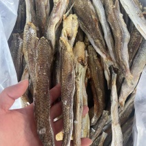 足干…淡盐~槐龙鱼干………