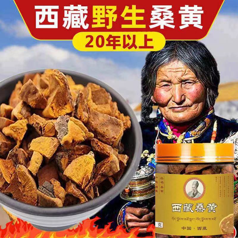 川西高原特产桑黄，红花，虫草，野生菌等
