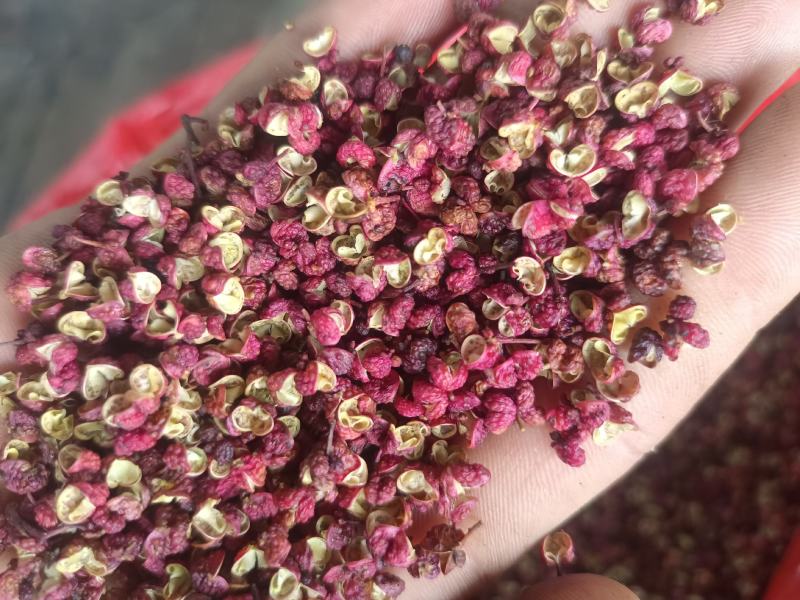 川西高原特产桑黄，红花，虫草，野生菌等