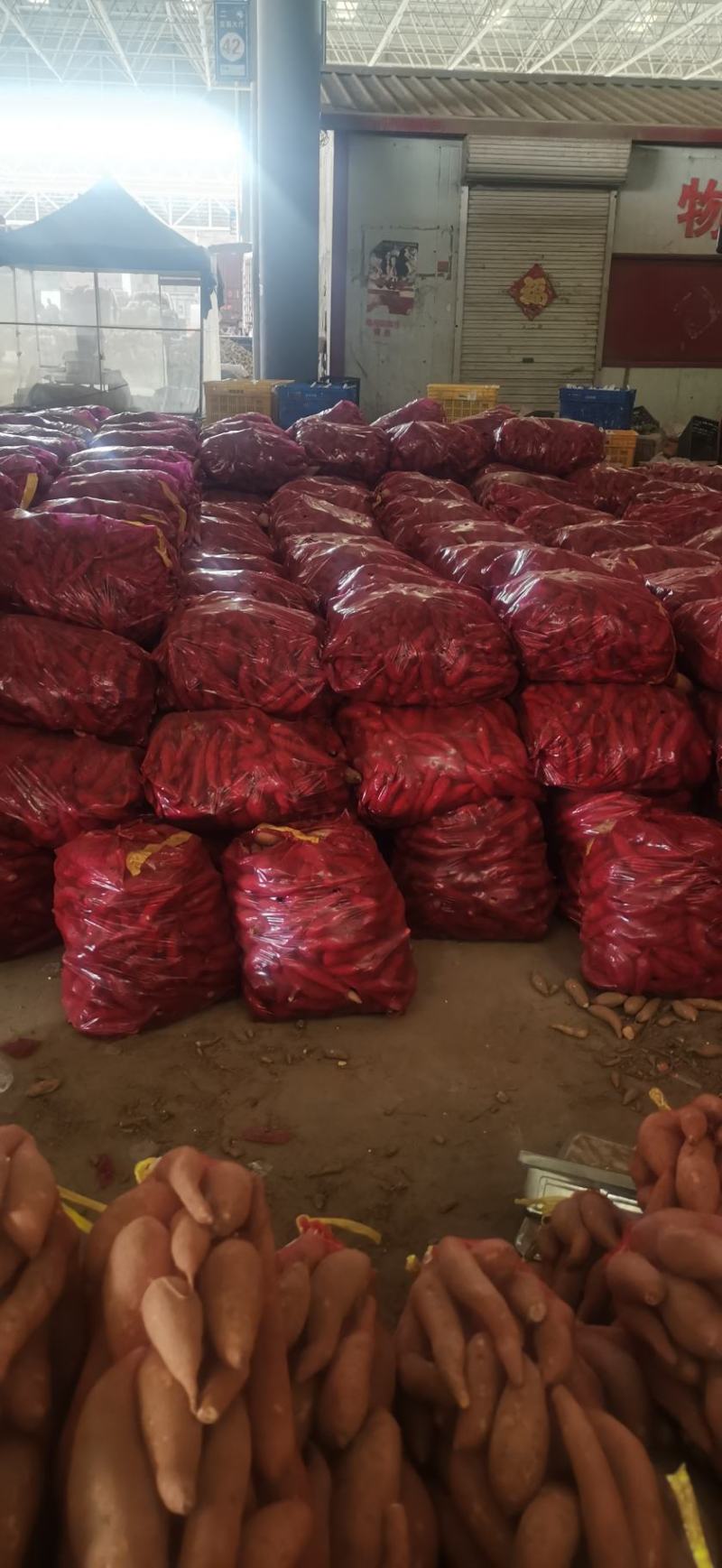龙九，精品好货，大量有货，量大从优
