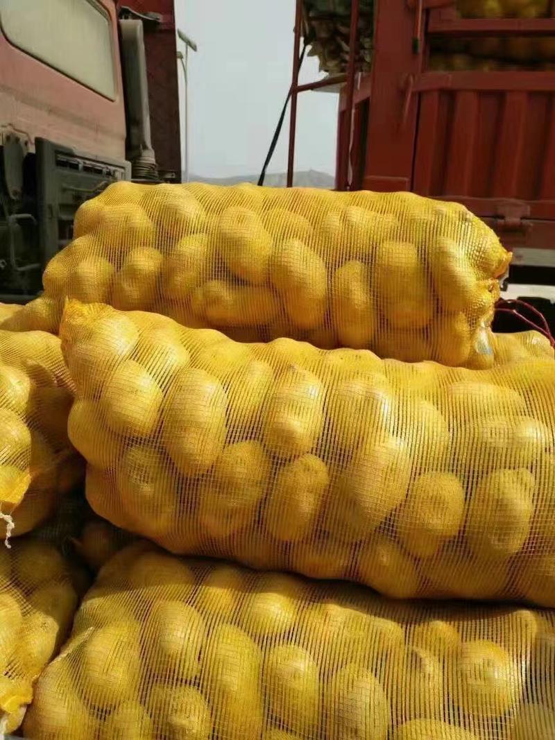 金黄色网袋，专门装土豆，规格可以定制，厂家供应